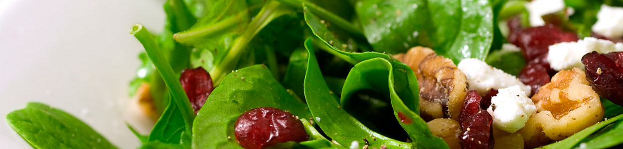 La Posada de Alcudia